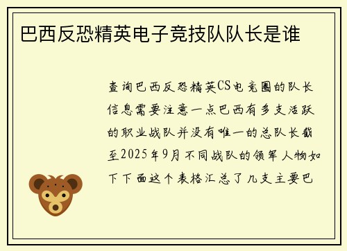 巴西反恐精英电子竞技队队长是谁